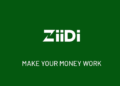 Ziidi MMF Investment Platform