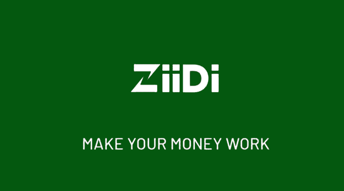 Ziidi MMF Investment Platform