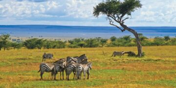 tourism and wildlife