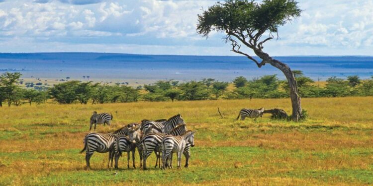 tourism and wildlife