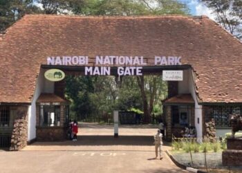 Kenyans to enjoy free entry to all national parks on World Tourism Day as government promotes conservation and domestic tourism.