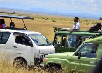 Domestic travellers drove over 300,000 visits to Kenya’s national parks during the December festive season, according to KWS data.