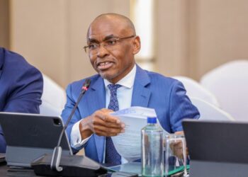 Safaricom CEO Peter Ndegwa tells Parliament the government’s planned share sale will not affect company operations or Kenyan identity.