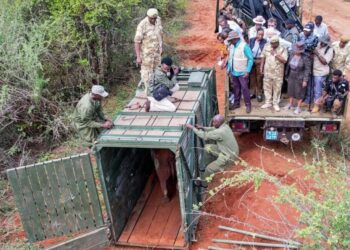 Tsavo West Rhino Sanctuary expanded to strengthen rhino conservation, support eco-tourism, and deliver new opportunities for local communities.