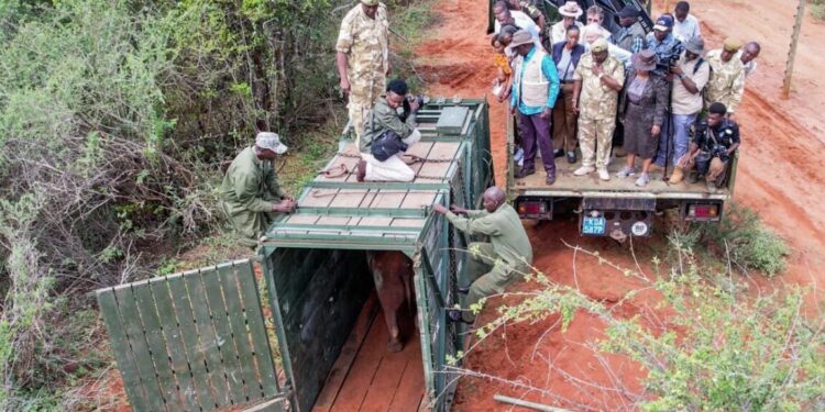 Tsavo West Rhino Sanctuary expanded to strengthen rhino conservation, support eco-tourism, and deliver new opportunities for local communities.